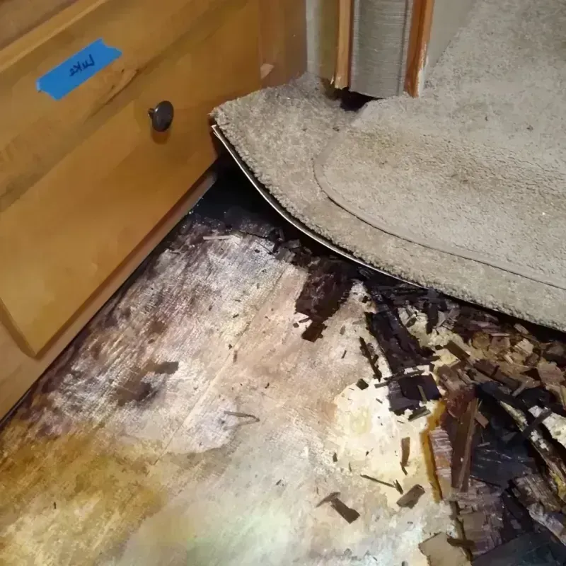 Best Wood Floor Water Damage Service in Marshall County, IN